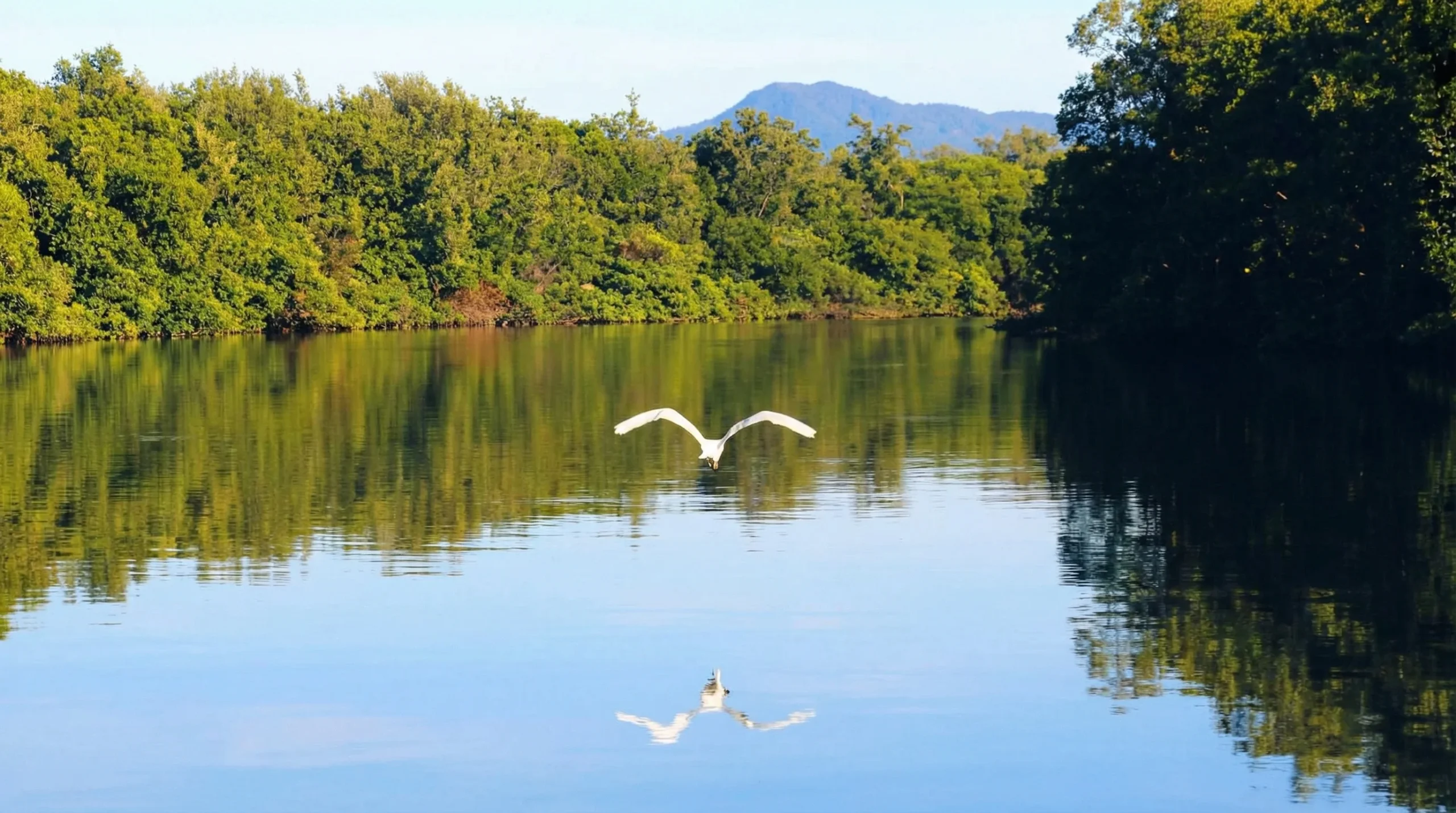 Paisagem Cubatão